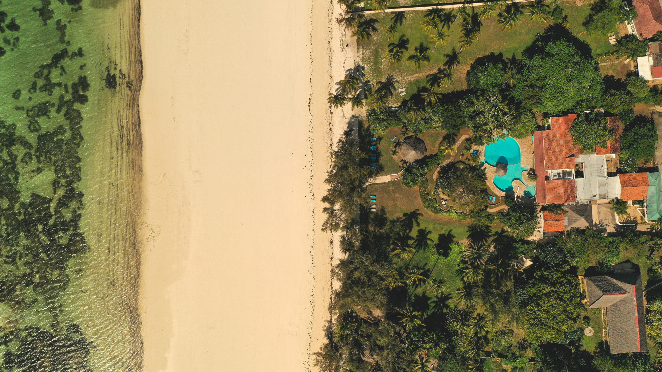 Flamboyant Diani